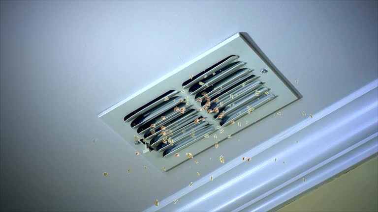 Best Air Duct Cleaning Near Me  in Dixmoor, IL