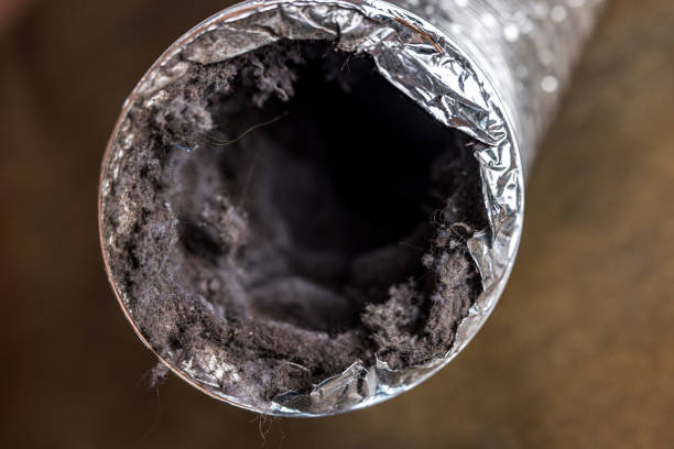 Best Air Vent Cleaning Services  in Dixmoor, IL